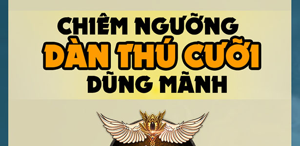 Infographic-Thu-cuoi-2